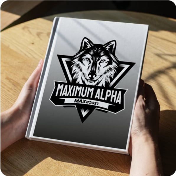 Max Boost Plus Website Builder