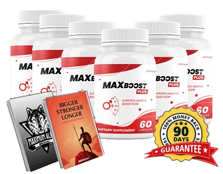 Max Boost Plus 6 bottle